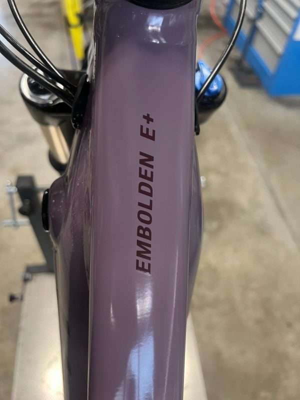 LIV E-bike Embolden E+ (usata) - immagine 10